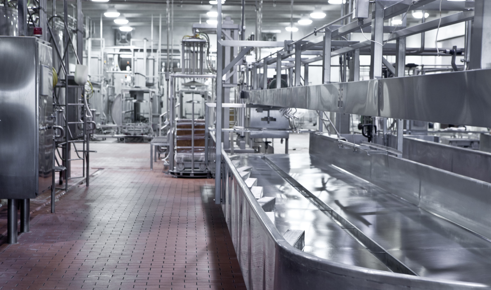 Food processing