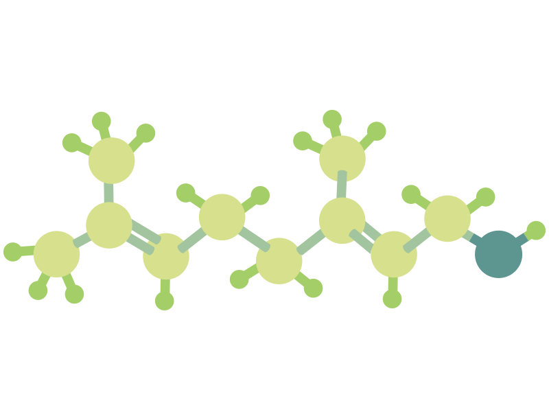 Zoecon Essential Oils