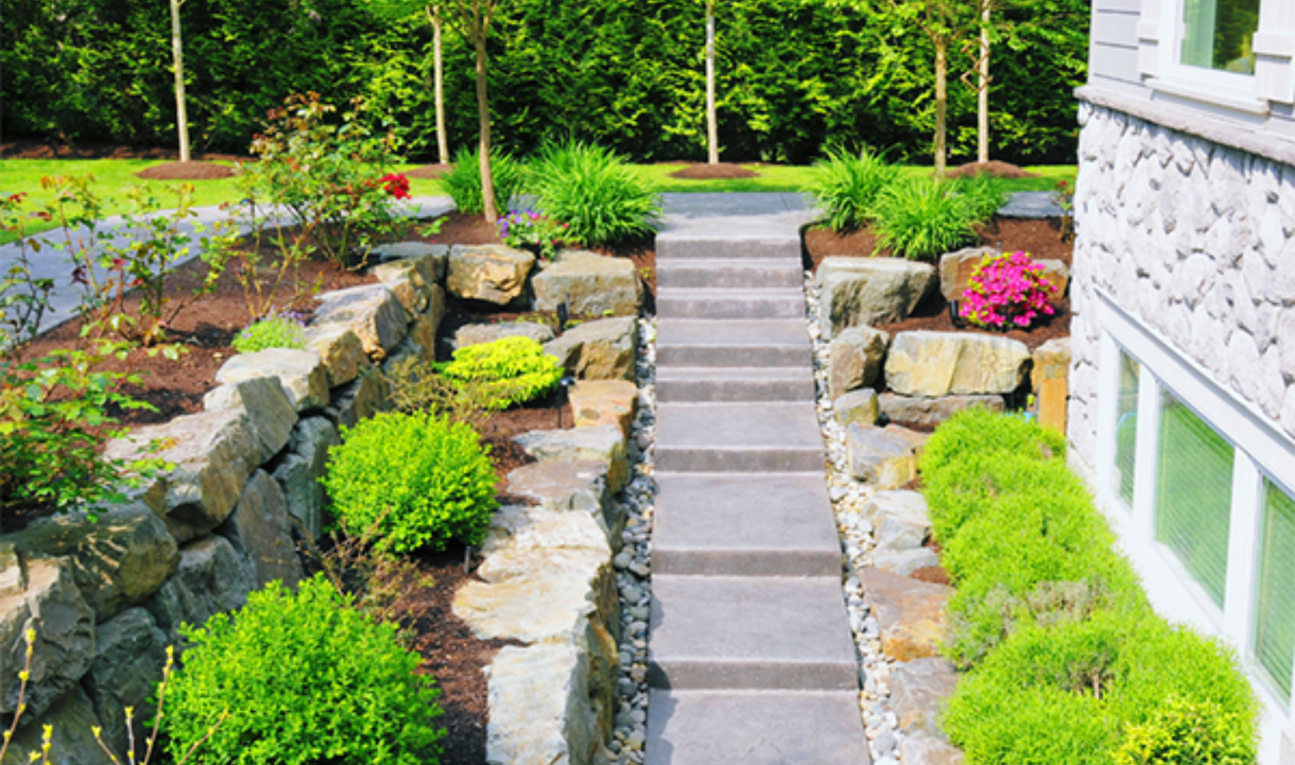 Outdoor steps and greenery