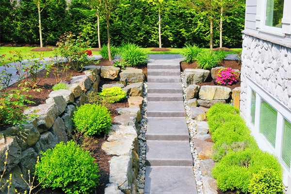Outdoor steps and greenery