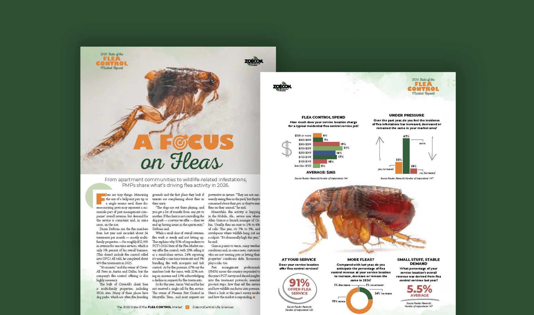State of the Flea 2026