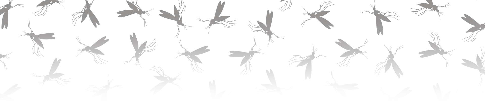 Mosquitoes Header